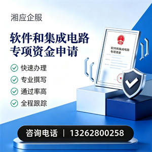 娄底软件和集成电路专项资金申报服务