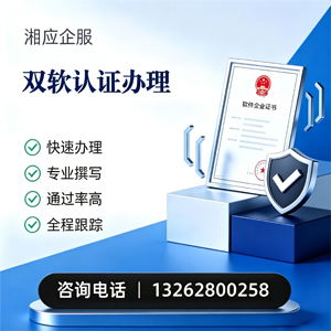 娄底双软认证申报服务