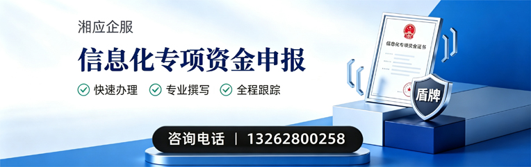 娄底信息化专项资金申报服务