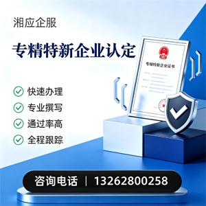 娄底专精特新企业申报服务