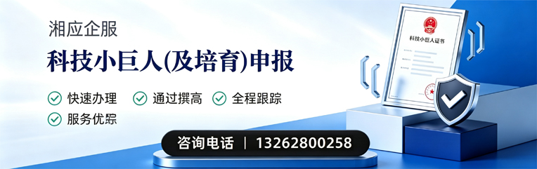 娄底科技小巨人及培育企业申报服务