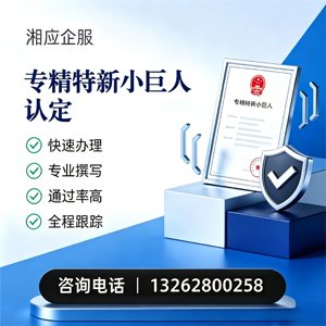 娄底专精特新小巨人申报服务