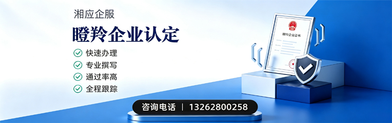 娄底瞪羚企业认定申报服务