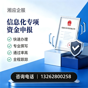 娄底信息化专项资金申报服务