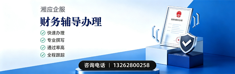 娄底财务辅导申请服务