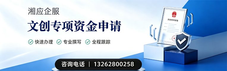娄底文创专项资金申报服务