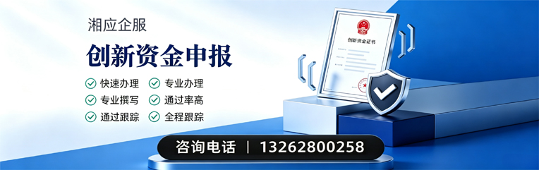 娄底创新资金申报服务