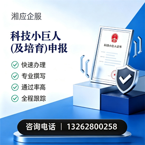 娄底科技小巨人及培育企业申报服务