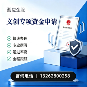 娄底文创专项资金申报服务