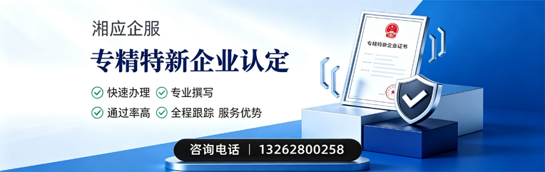 娄底专精特新企业申报服务