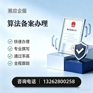 娄底算法备案申报服务