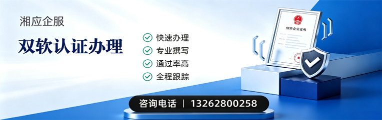 娄底双软认证申报服务
