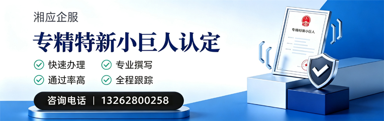 娄底专精特新小巨人申报服务